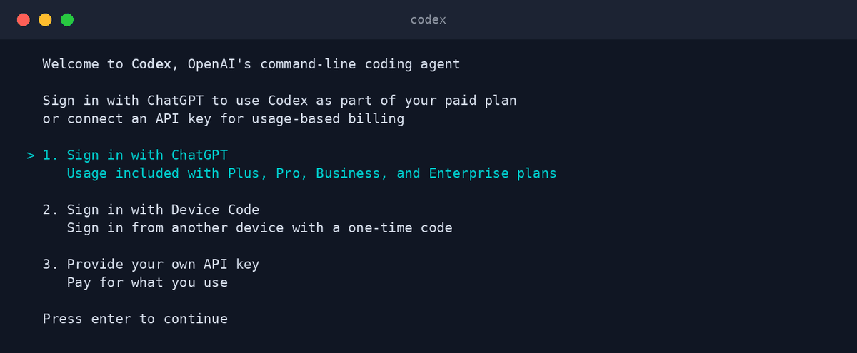 Codex CLI 的真实终端输出