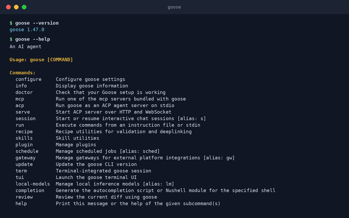 Real terminal output from Goose